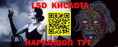 сатива Бийск