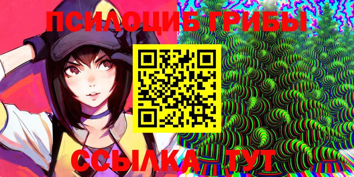 Галлюциногенные грибы Psilocybe Каменка
