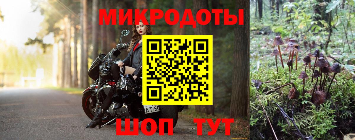 Каменка  Галлюциногенные грибы MAGIC MUSHROOMS  Вход с VPN 